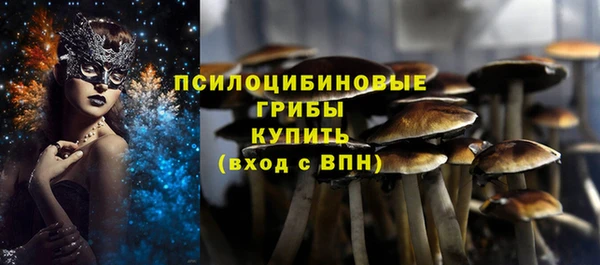 героин Алзамай