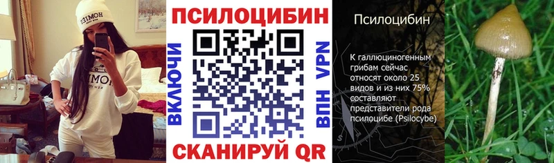 Псилоцибиновые грибы прущие грибы  сколько стоит  Находка 